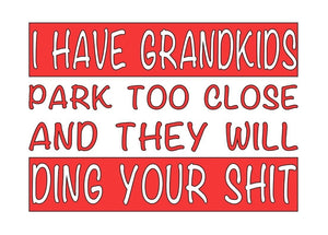 I Have Grandkids Decal